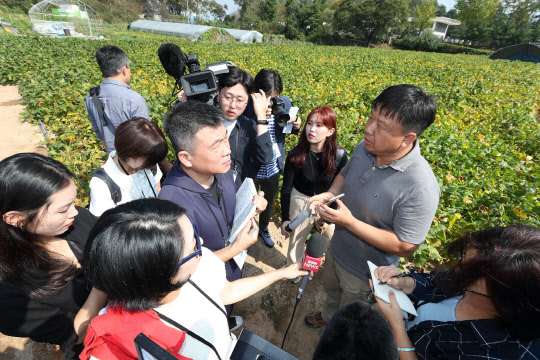대성동 주민이 외신 기자단을 대상으로 KT의 5G 스마트폰을 통한 원격 농지 관리 '노지 스마트팜' 시스템을 설명하며, 장단콩 밭에 물을 주고 있다.  KT 제공